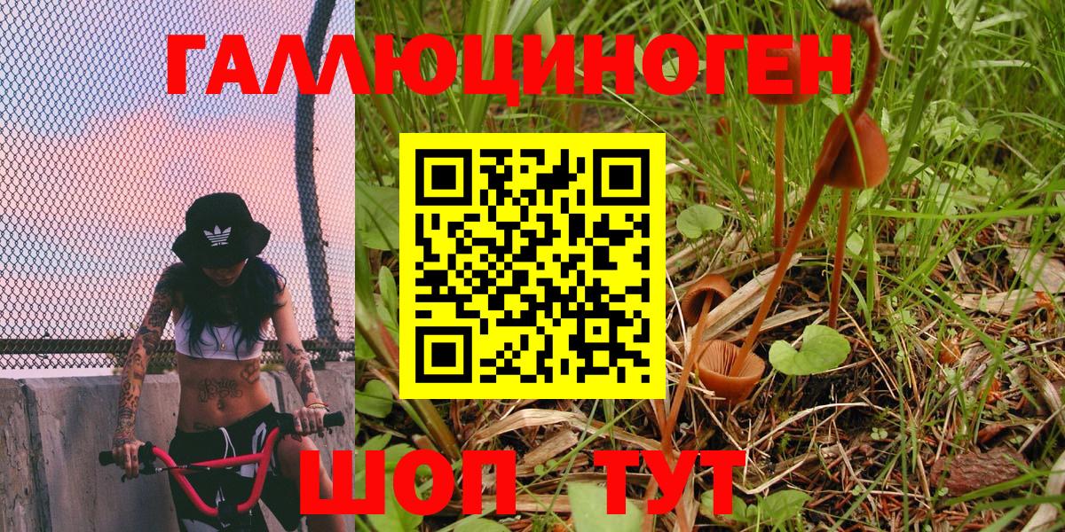 Псилоцибиновые грибы мухоморы  Вход с VPN  Малоярославец 