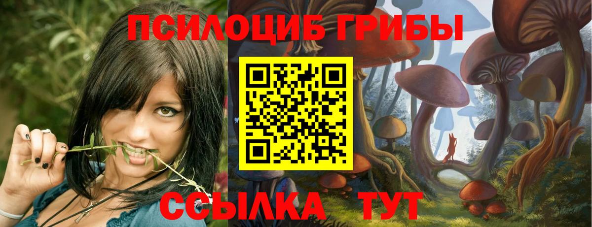 Псилоцибиновые грибы Psilocybine cubensis Малоярославец