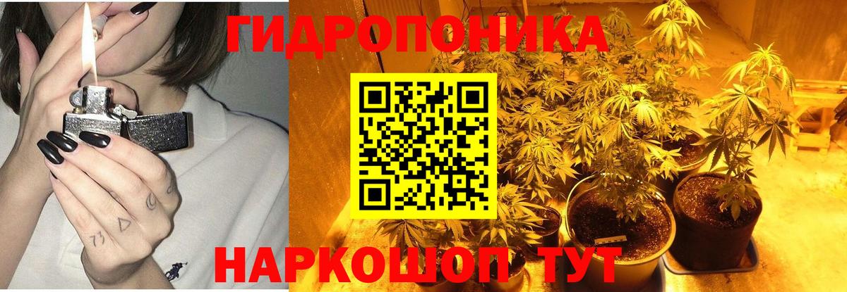 Конопля AK-47 Малоярославец